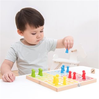 Ludo game